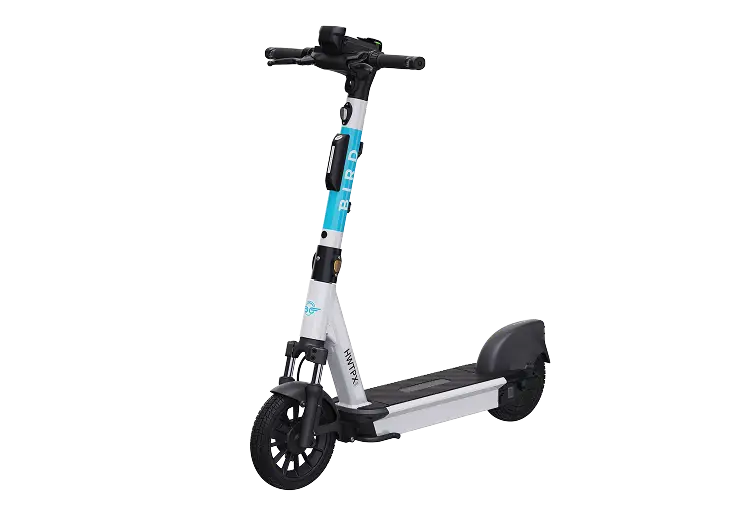 Bird Dash electric standing scooter